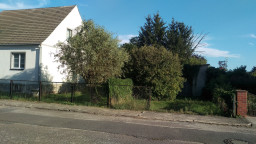 IMAG0050.jpg