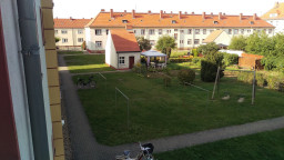 IMAG0319.jpg