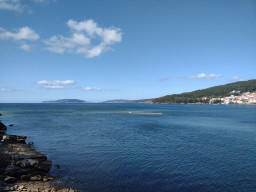 IMG_20210916_122253927.jpg