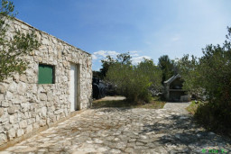 P1210546.JPG