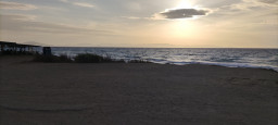 IMG_20210922_184321.jpg