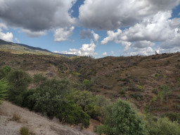 IMG_20210923_143135818_HDR.jpg