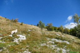 P1210738.JPG