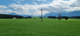 20210918_134526.jpg