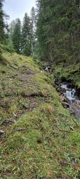 20210920_114742.jpg