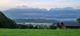 20210922_074619.jpg