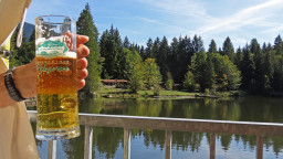 prost.jpg
