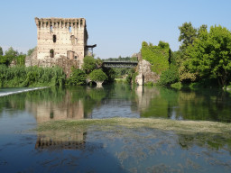 DSC00622.JPG