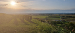 20210925_181803.jpg