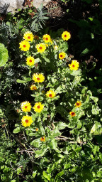 IMG-20211009-WA0006.jpeg