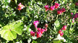 IMG-20211009-WA0012.jpeg